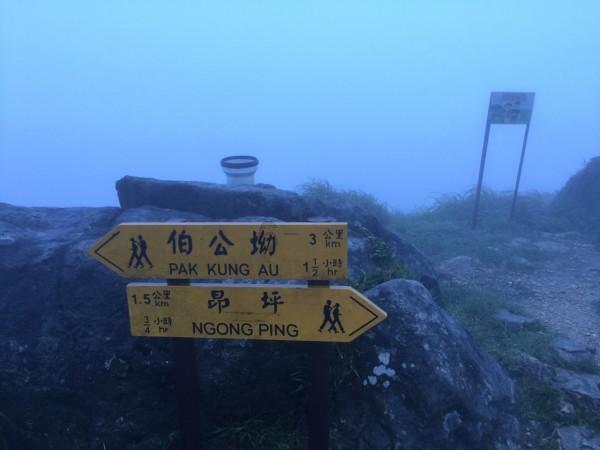 【多彩时尚美发沙龙】欢迎来到坚持长期跑步对身体有什么好处?!